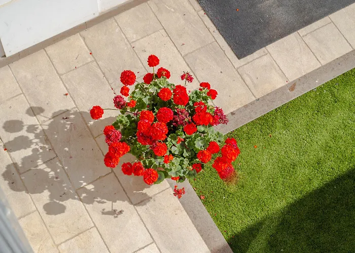 Domomea Hotel Alghero