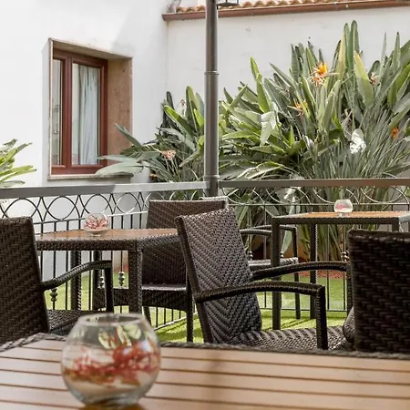 Domomea Αλγκέρο